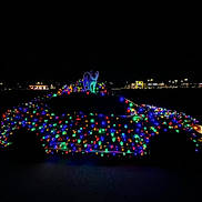 Novah joined the competition — help win amazing prizes! animal, canine, car, celebration, christmas_lights, colorful, dark, decorations, dog, festive, glowing, holiday, illuminated, lights, night, outdoor, parking_lot, pet, street_lights, vehicle