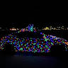 animal, canine, car, celebration, christmas_lights, colorful, dark, decorations, dog, festive, glowing, holiday, illuminated, lights, night, outdoor, parking_lot, pet, street_lights, vehicle