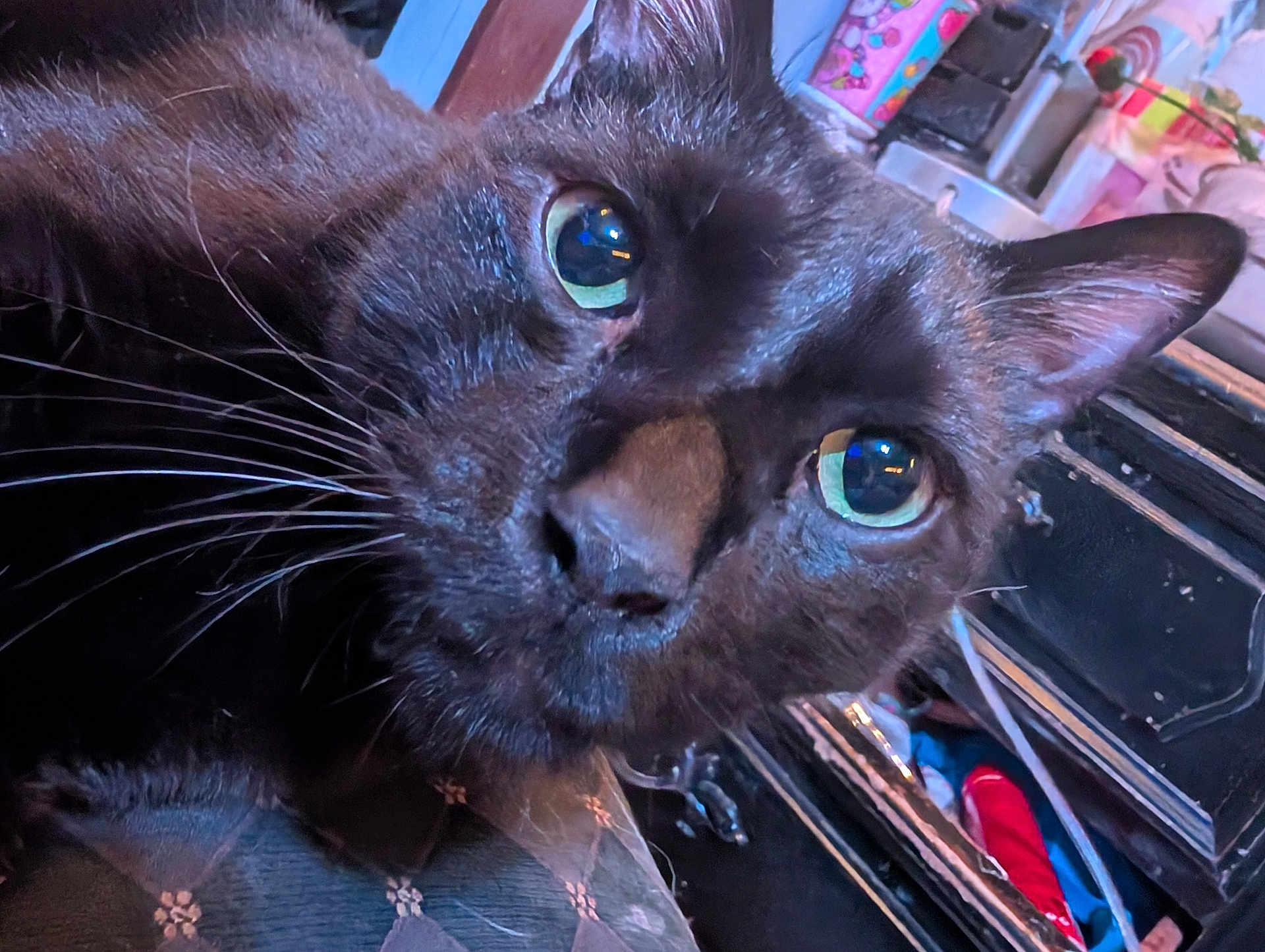 Binx