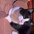 Hailey A.
