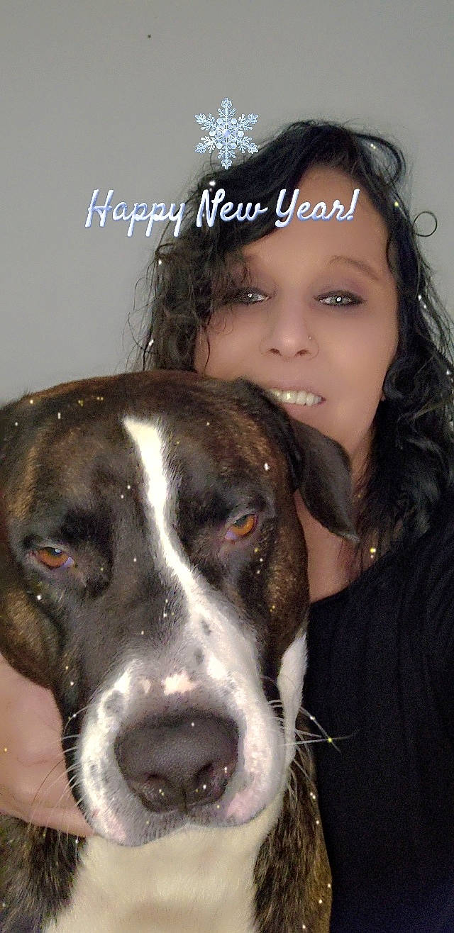 Chief joined the competition — help win amazing prizes! canidae, carnivore, companion_dog, dog, dog_breed, eye, eyelash, eyewear, fawn, flash_photography, fur, happy, iris, jaw, jewellery, makeover, snout, sporting_group, whiskers, working_animal