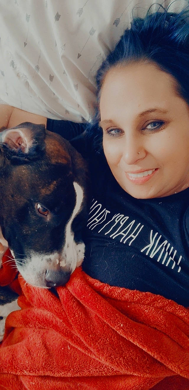 Chief is registered to the contest to win money with this photo: canidae, carnivore, companion_dog, cool, dog, dog_breed, ear, eye, eyelash, fawn, fur, happy, makeover, skin, smile, snout, sporting_group, t_shirt, whiskers, working_animal