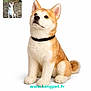 brown_and_white, collar, cute, dog, fur, inset_image, outdoor_dog, pet, plush_toy, portrait, product_photo, realistic, shiba_inu, sitting, studio_shot, stuffed_animal, toy, watermark, website_text, white_background