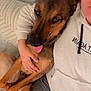 dog, pet, person, couch, blanket, indoor, lap, hug, cozy, casual_clothing, tongue_out, brown_fur, short_hair, relaxed, comfort, friendship, cute, resting, companion, home