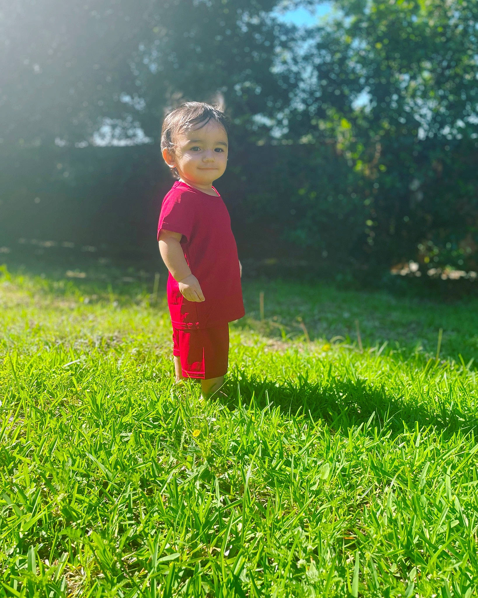 Callum joined the competition — help win amazing prizes! baby, baby_toddler_clothing, backlighting, child, fun, garden, grass, grassland, groundcover, happy, joy, landscape, lawn, leisure, meadow, natural_landscape, people_in_nature, person, plant, tints_and_shades