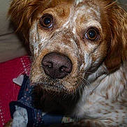 Eden a rejoint le concours — aidez-le/la à gagner de superbes lots !