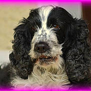 Uvea a rejoint le concours — aidez-le/la à gagner de superbes lots !