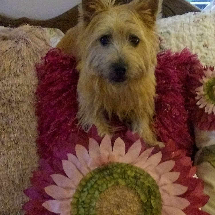 Charlotte Mae