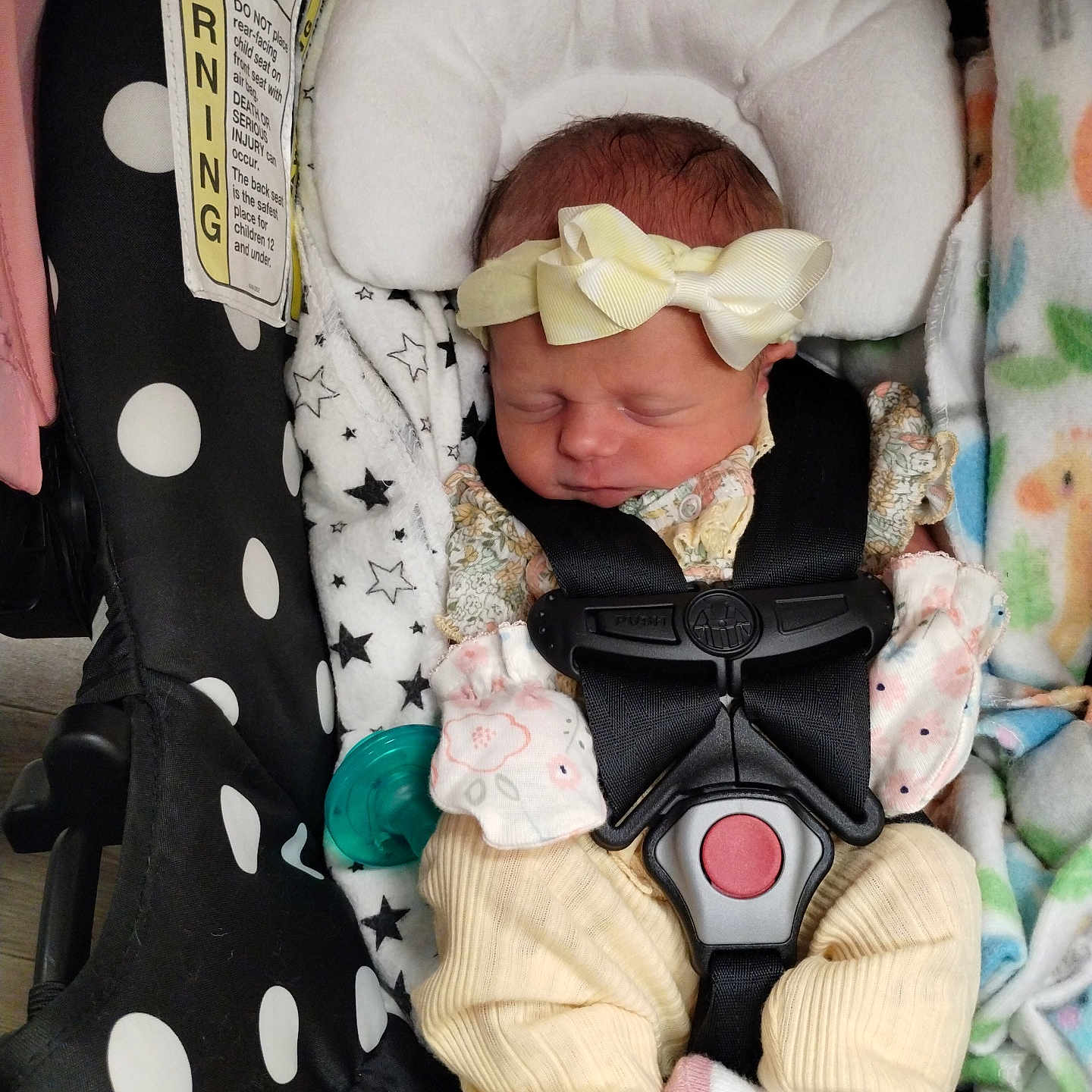 Bailey Lee is registered to the contest to win money with this photo: baby, blanket, bow, car_seat, child, clothing, cute, headband, indoors, infant, newborn, pacifier, patterned_fabric, peaceful, person, resting, safety_harness, sleeping, soft, wearing