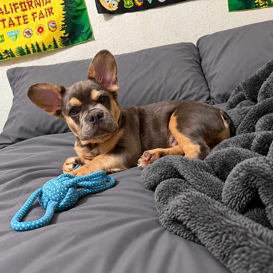 Roscoe