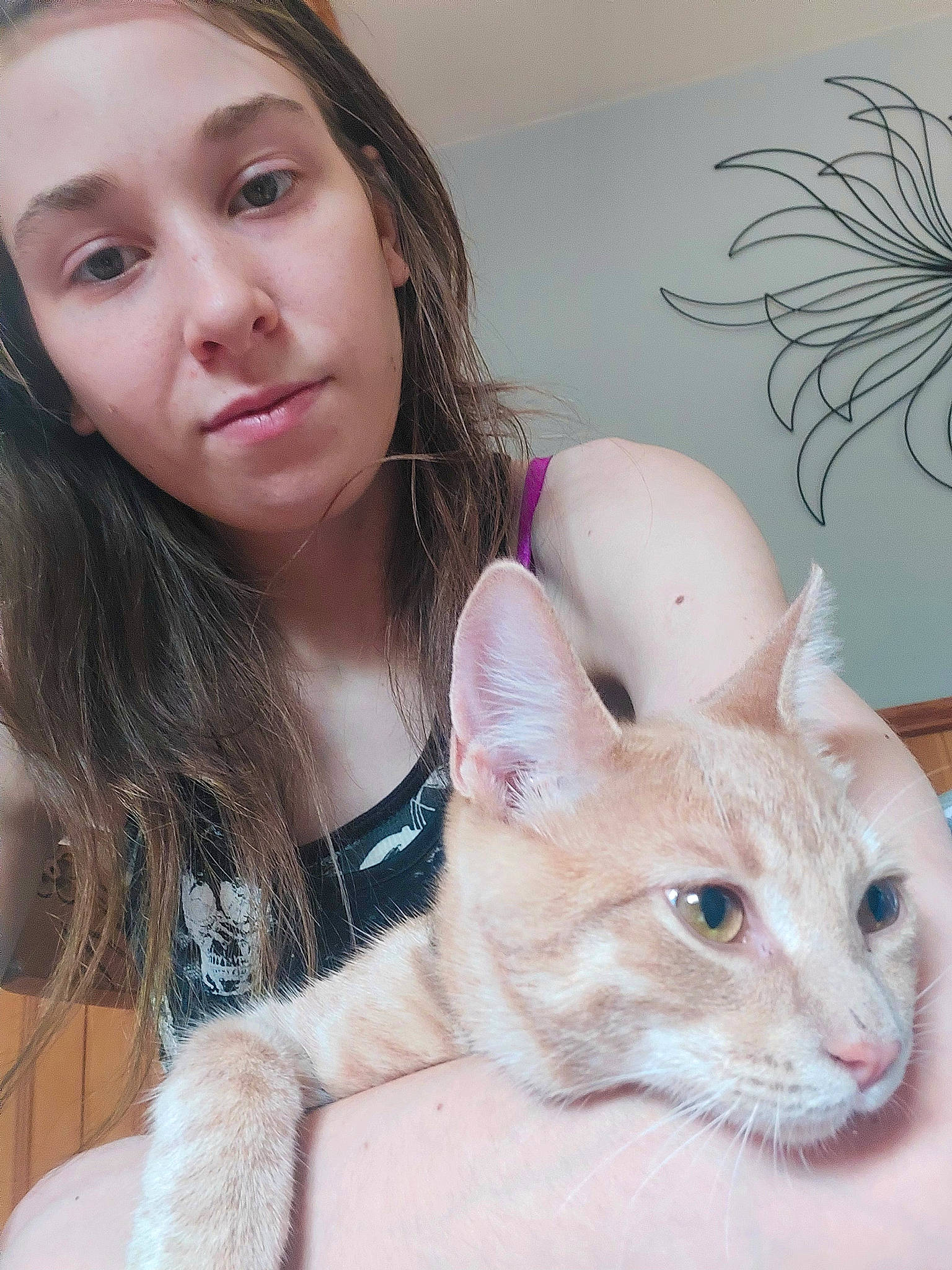 Charlie participe au concours pour gagner de l'argent avec cette photo : blond, carnivore, cat, ear, eye, eyebrow, eyelash, face, fawn, felidae, hair, happy, head, iris, lip, nose, skin, small_to_medium_sized_cats, snout, whiskers