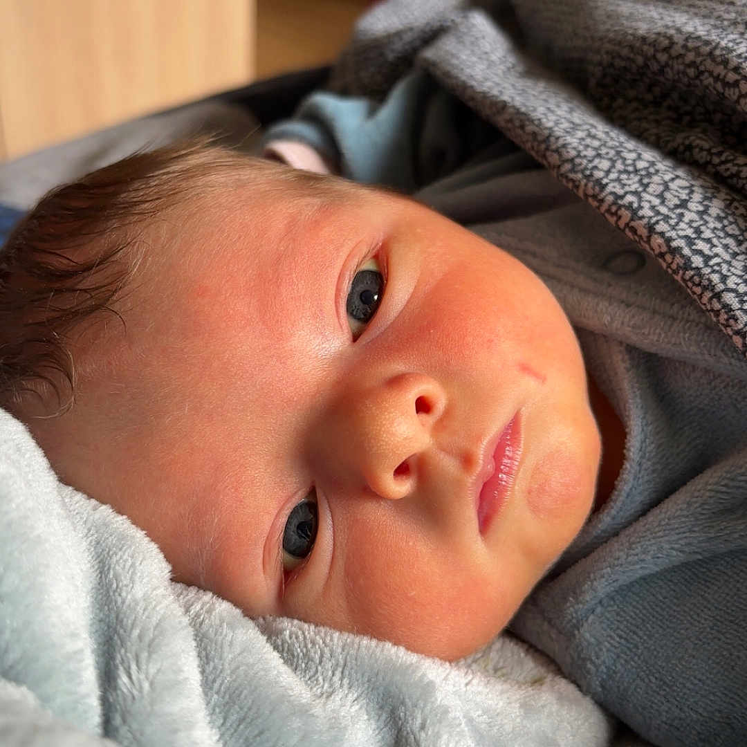 Elizio a rejoint le concours — aidez-le/la à gagner de superbes lots ! baby, blanket, bodypart, bonnet, clothing, face, finger, hand, head, hood, hoodie, knitwear, newborn, person, photography, portrait, quilt, sweater, sweatshirt, towel