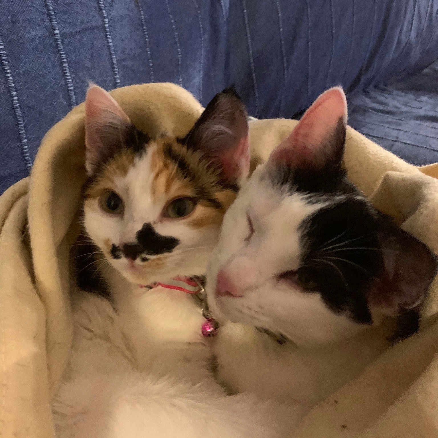 Jules Et Julie