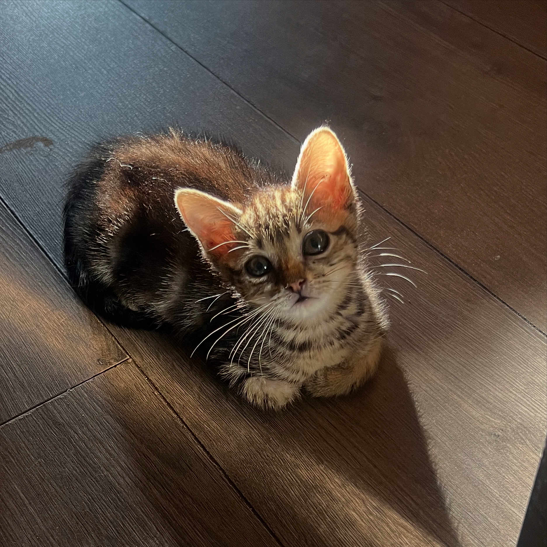 Chloe