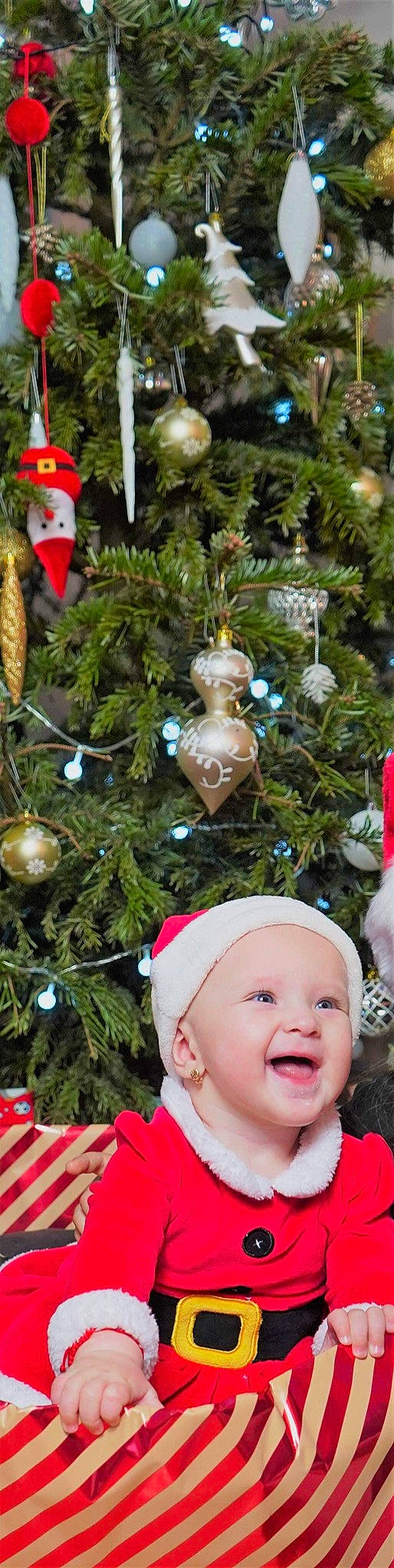 Livia is registered to the contest to win money with this photo: child, christmas, christmas_decoration, christmas_ornament, christmas_tree, fir, holiday, person, plant, play, toddler, tree, vacation