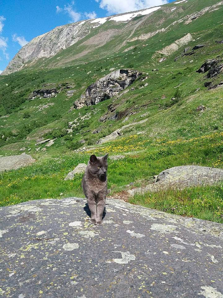 Sanga a rejoint le concours — aidez-le/la à gagner de superbes lots ! adventure, asphalt, bedrock, cloud, grass, grassland, landscape, mountain, mountain_range, plant, plateau, recreation, road, road_surface, rock, sky, slope, trail, valley, walking