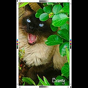 Bounty a rejoint le concours — aidez-le/la à gagner de superbes lots !