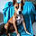 Taxie