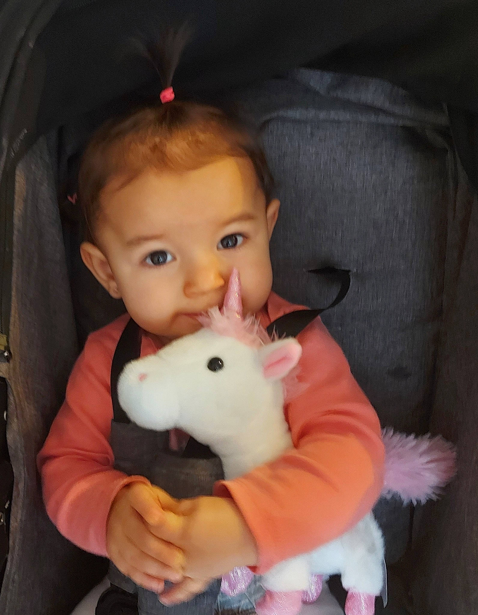 Nessy participe au concours pour gagner de l'argent avec cette photo : baby_products, car_seat, cheek, comfort, couch, fur, gerbil, iris, livestock, mouse, muridae, muroidea, organ, person, pest, pink, rat, rodent, skin, textile