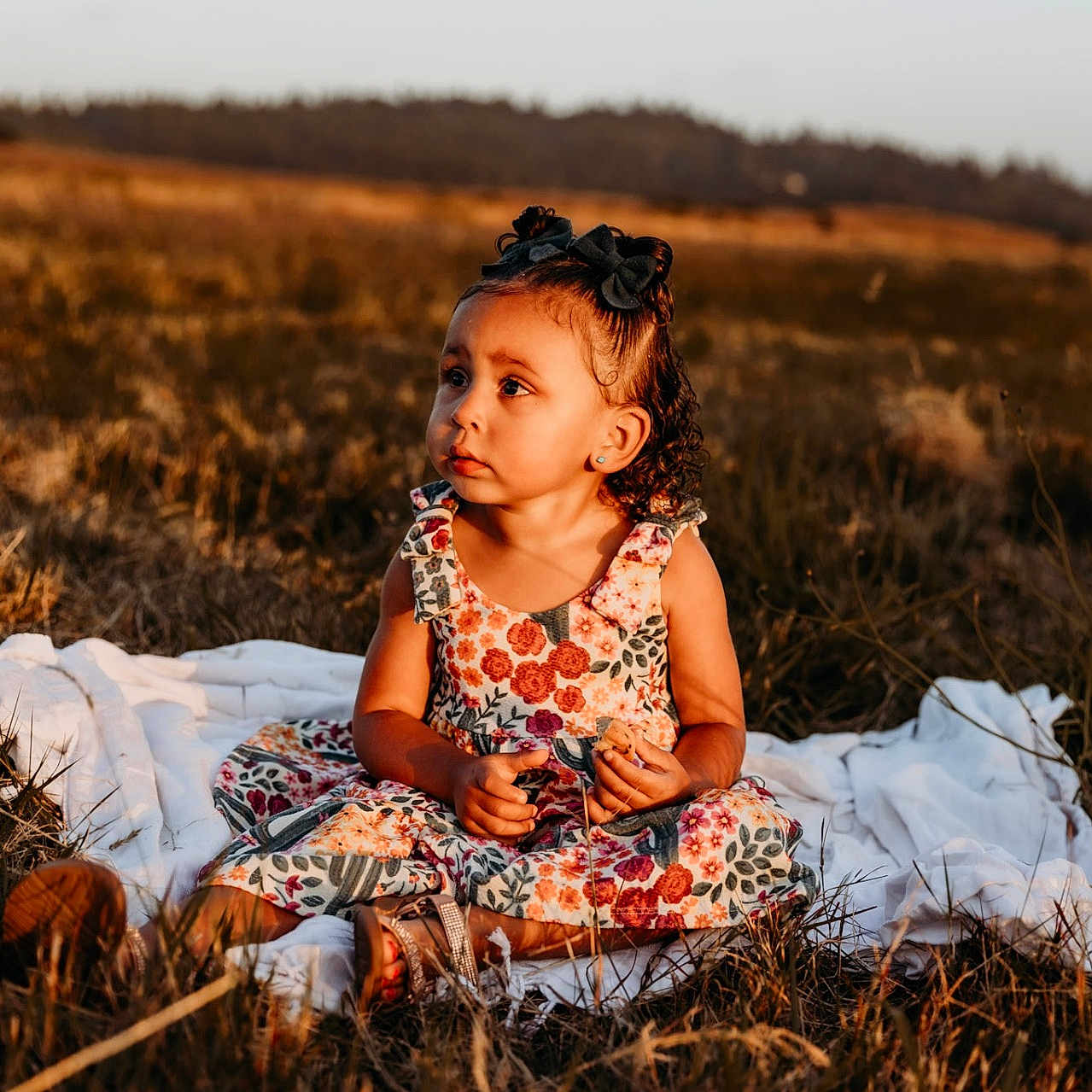 Isabella is registered to the contest to win money with this photo: blanket, child, clothing, dress, face, female, field, girl, grass, hair, happy, head, nature, outdoors, person, photography, plant, portrait, sitting, smile