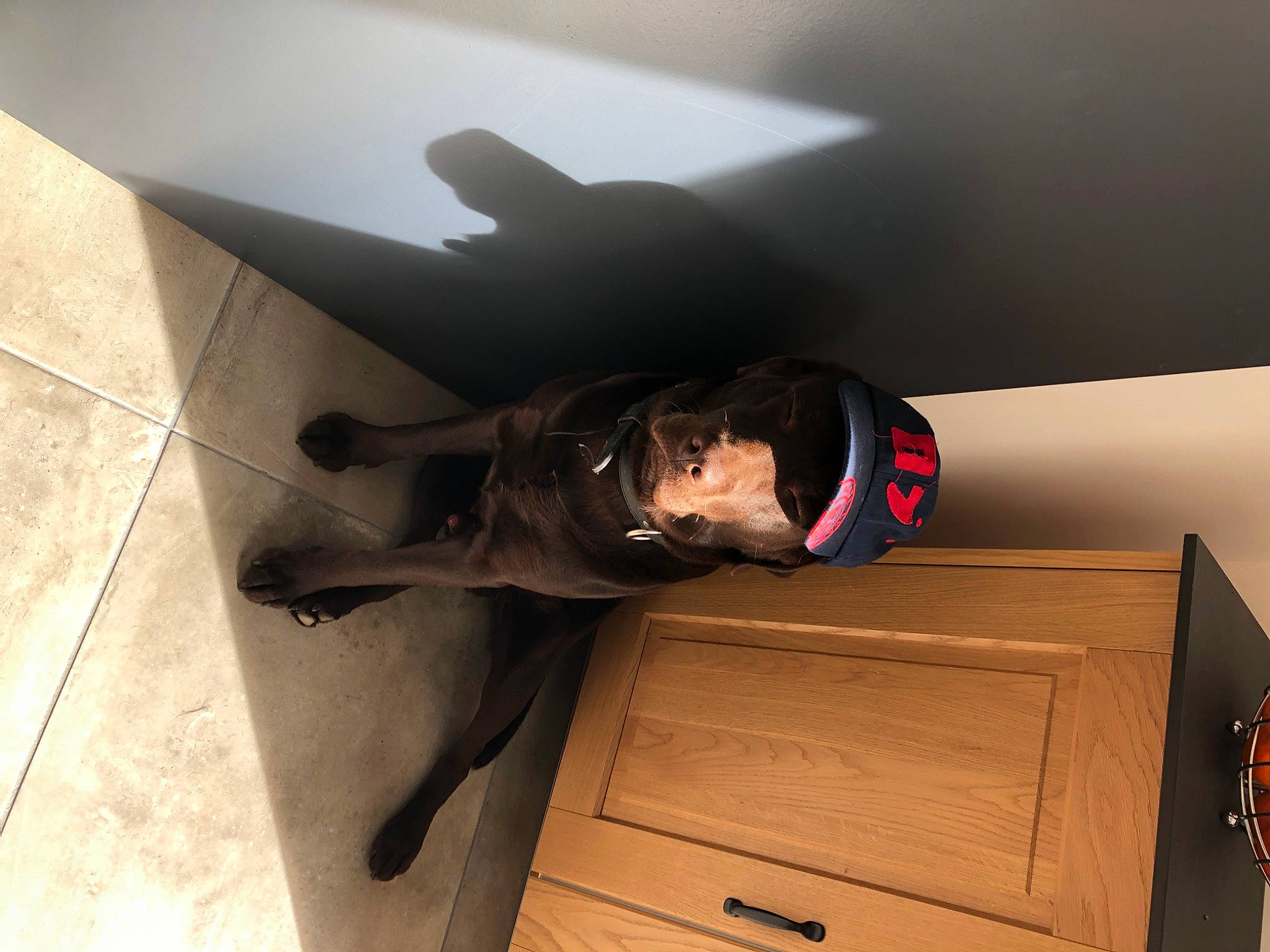 Ritchy participe au concours pour gagner de l'argent avec cette photo : automotive_design, comfort, eyewear, flooring, fun, hardwood, room, wood