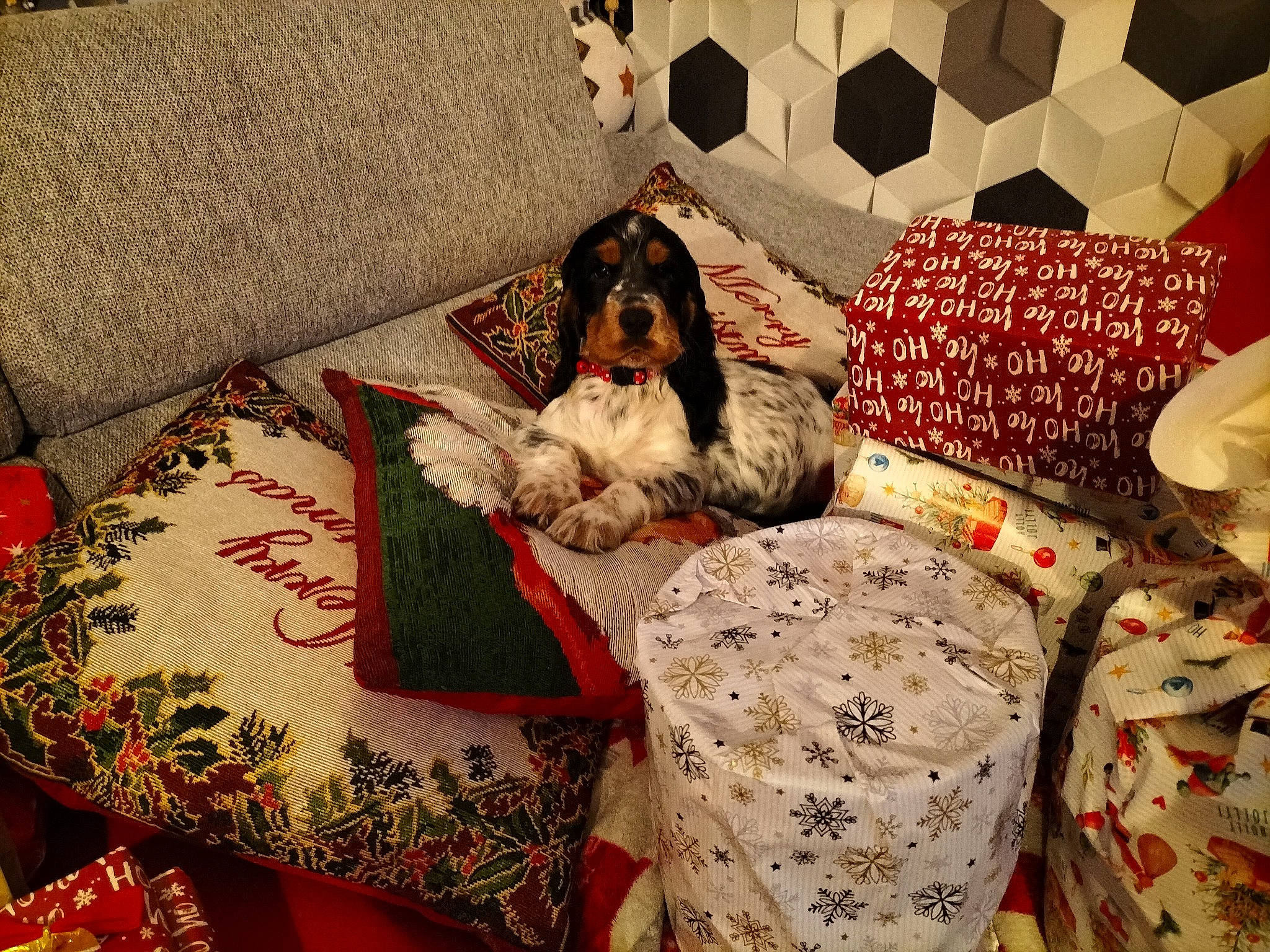 Uguette participe au concours pour gagner de l'argent avec cette photo : bed_sheet, bedding, bedroom, comfort, companion_dog, couch, decoration, design, event, fawn, flooring, interior_design, linens, living_room, pattern, pillow, room, textile, throw_pillow, toy