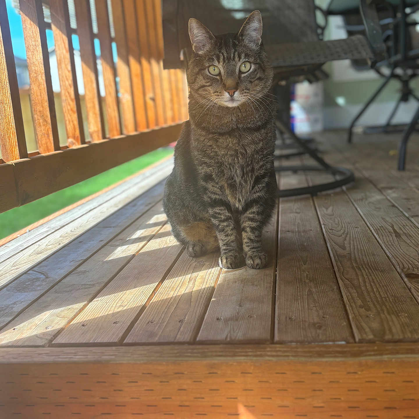 Sebastian