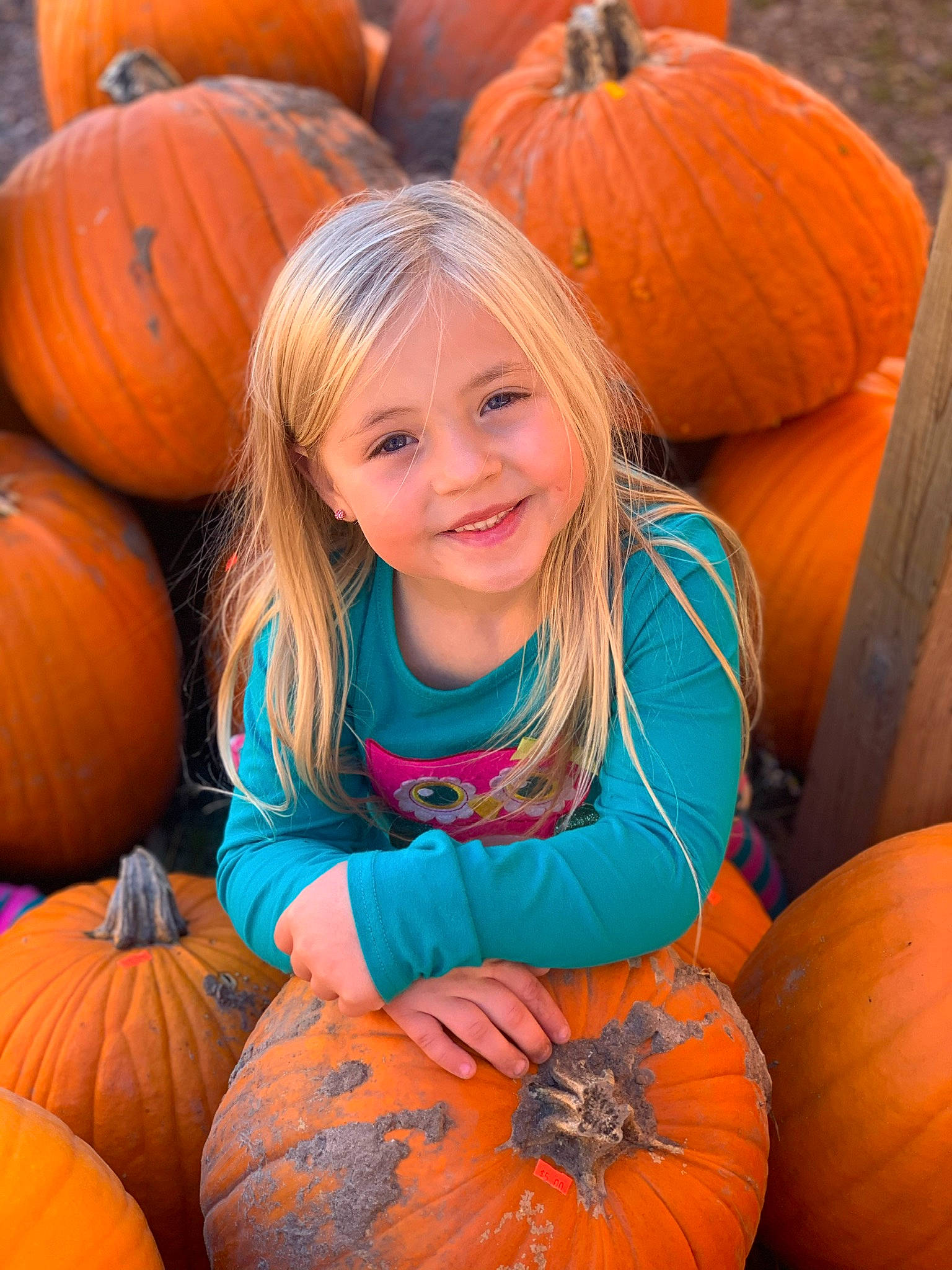 Madisyn is registered to the contest to win money with this photo: _and_melon_family, _gourd, calabaza, cucumber, cucurbita, facial_expression, gourd, iris, joy, local_food, morning, natural_foods, orange, people, people_in_nature, person, produce, pumpkin, squash, vegan_nutrition