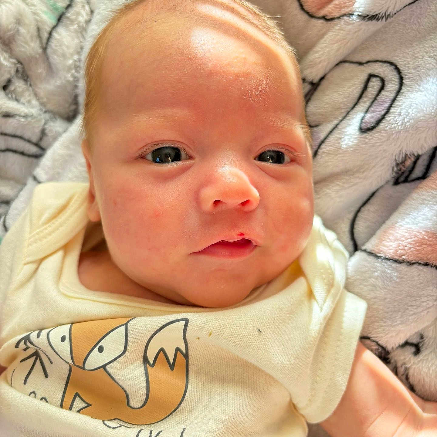 Noah joined the competition — help win amazing prizes! baby, blanket, child, close_up, clothing, cute, eyes, face, fox_illustration, indoor, infant, light_and_shadow, lying_down, natural_light, newborn, pattern, portrait, skin, soft_texture, tshirt