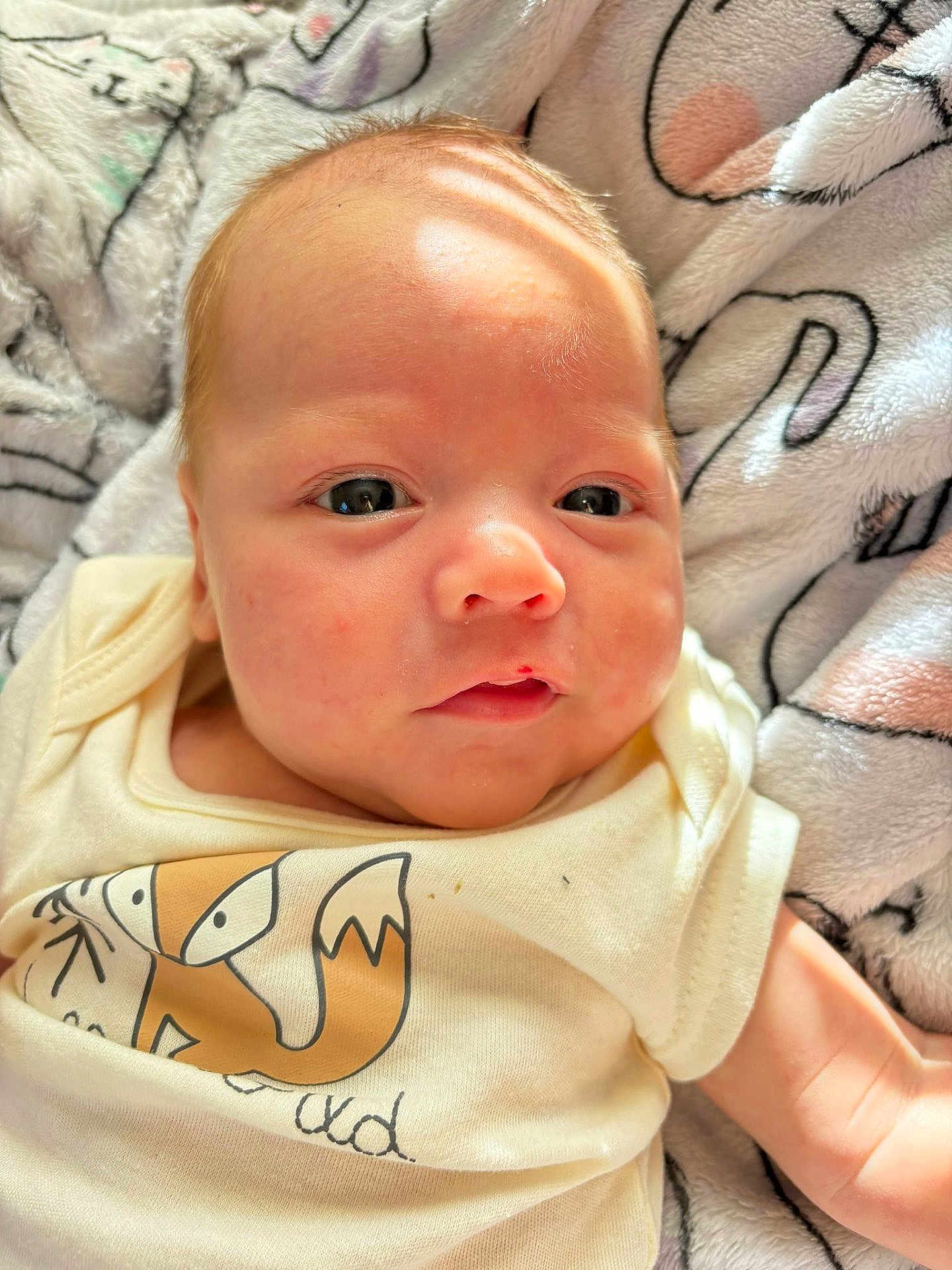 Noah joined the competition — help win amazing prizes! baby, infant, face, eyes, skin, clothing, tshirt, fox_illustration, blanket, pattern, soft_texture, light_and_shadow, cute, portrait, newborn, lying_down, close_up, child, indoor, natural_light