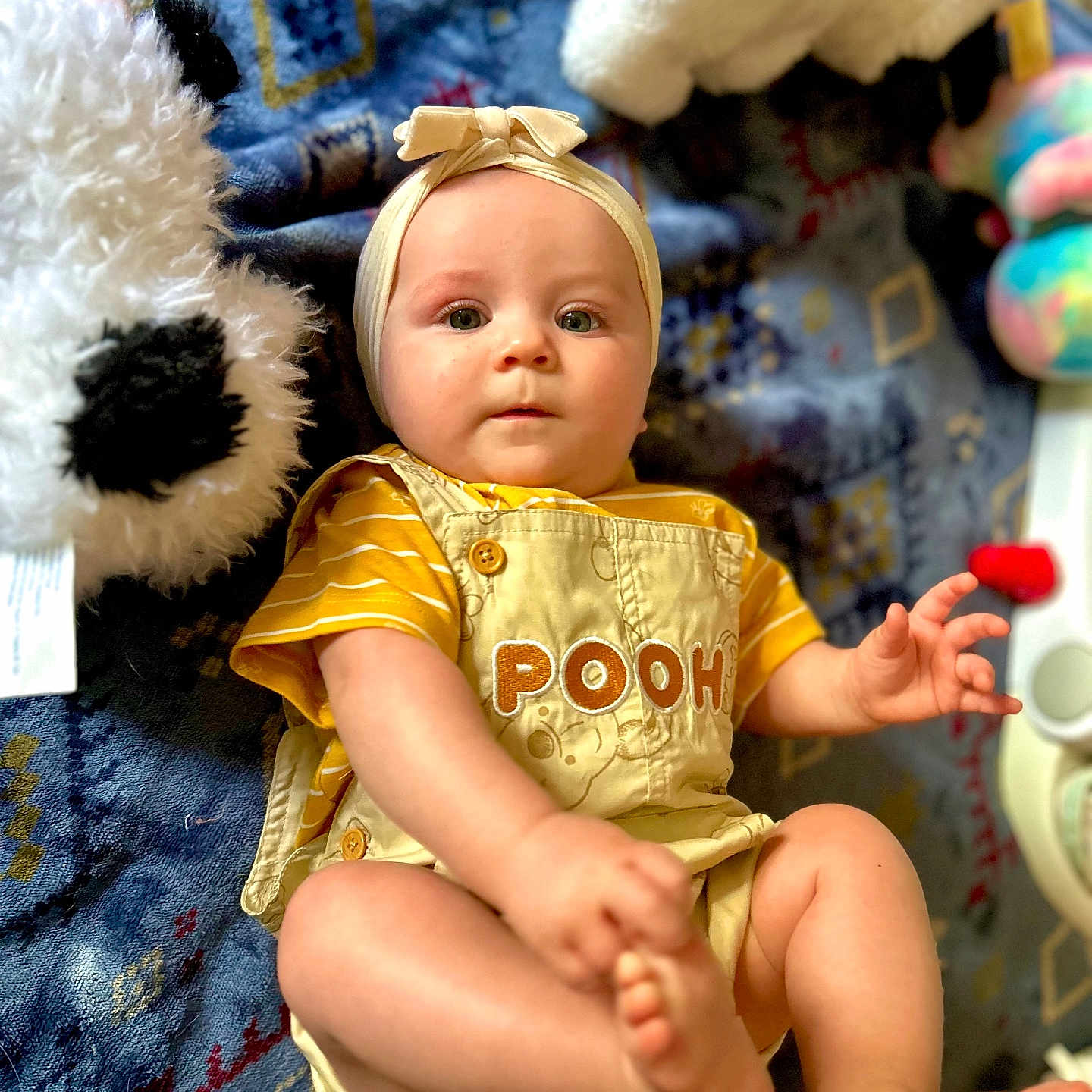 Harper is registered to the contest to win money with this photo: animal, baby, bodypart, canine, clothing, couch, dog, face, finger, furniture, hand, hat, head, person, pet, photography, portrait, sitting, teddybear, toy