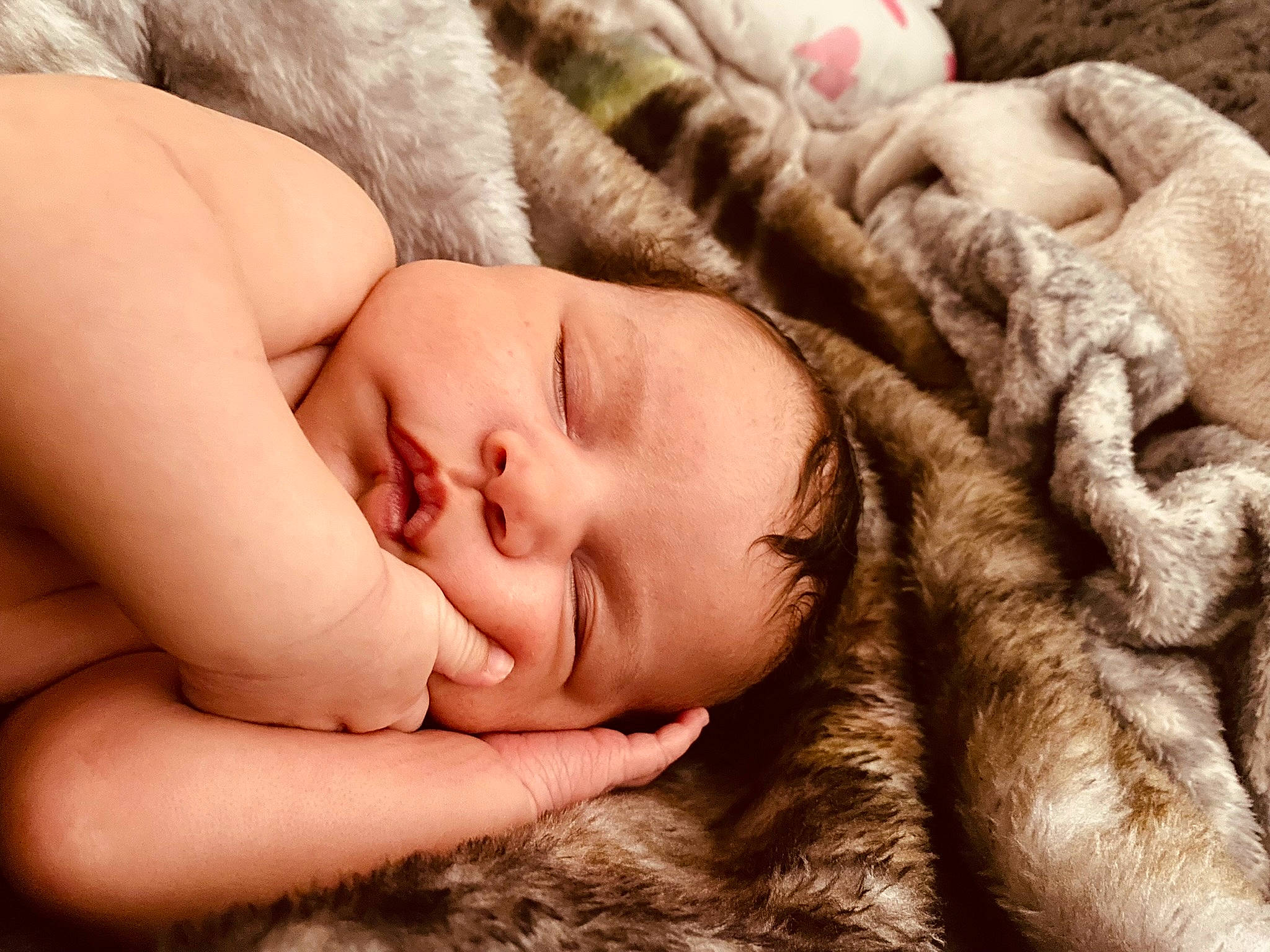 Phoenix is registered to the contest to win money with this photo: baby, cheek, child, close_up, comfort, eye, eyebrow, eyelash, face, flesh, fur, gesture, happy, head, lip, nail, nose, person, skin, thumb