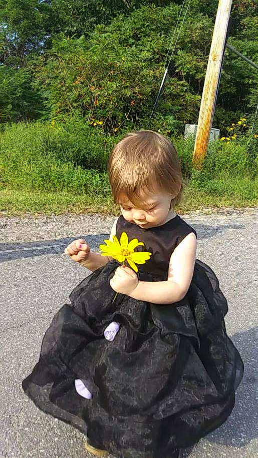 Sofia Eve joined the competition — help win amazing prizes! auto_part, automotive_wheel_system, botany, child, flower, hand, person, plant, play, smile, toddler, wheel