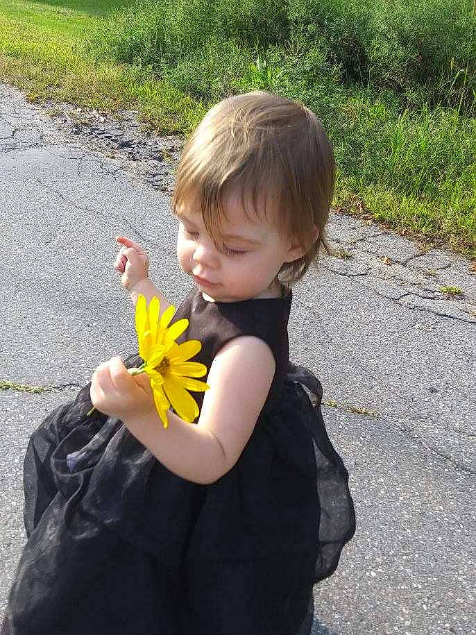 Sofia Eve joined the competition — help win amazing prizes! butterfly, child, dandelion, flower, grass, hand, person, plant, play, toddler, vacation, yellow