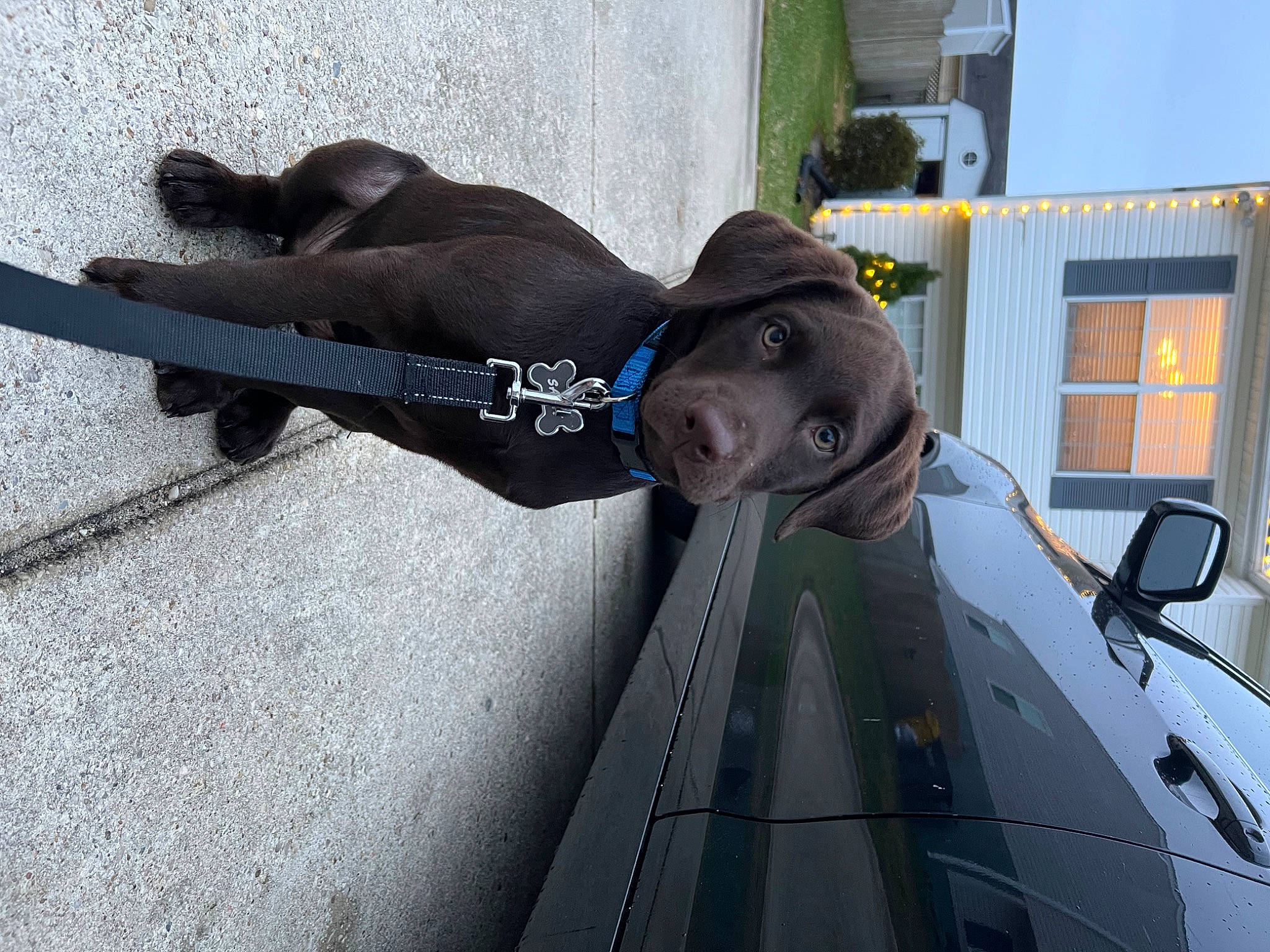 Saint Bayza is registered to the contest to win money with this photo: aerospace_engineering, aerospace_manufacturer, aircraft, asphalt, auto_part, automotive_exterior, automotive_window_part, aviation, bumper, glass, glove, hood, motor_vehicle, personal_protective_equipment, road_surface, smile, vehicle, vehicle_door, window, windshield