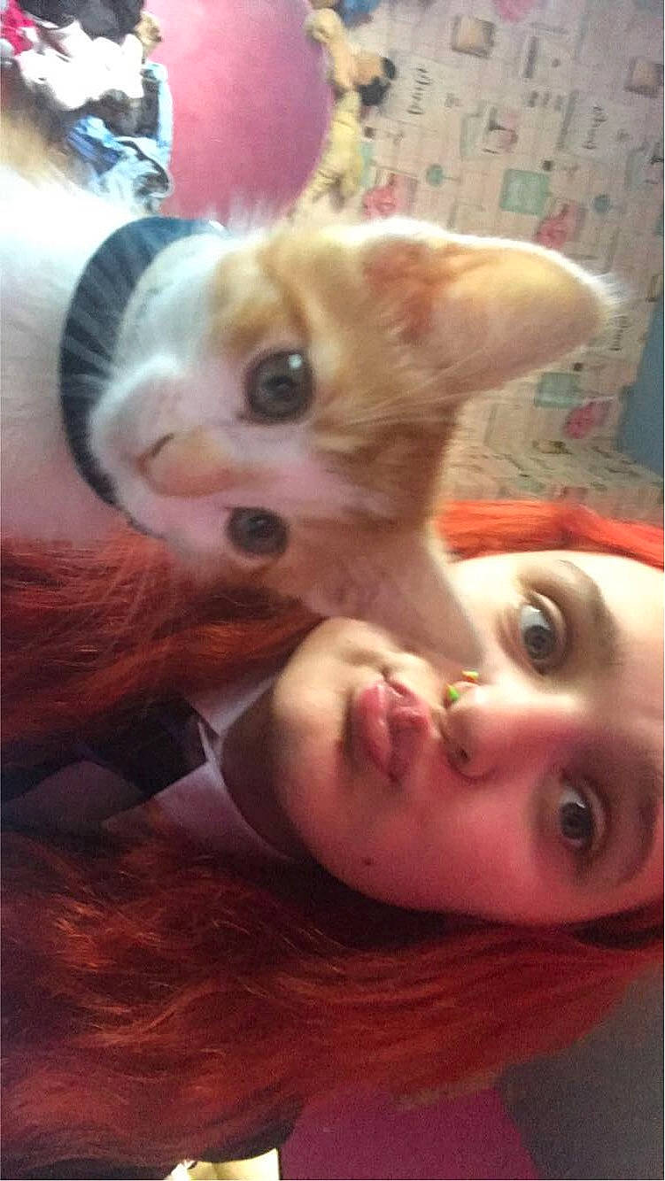 Cali joined the competition — help win amazing prizes! canidae, carnivore, cheek, companion_dog, corgi_chihuahua, dog, dog_breed, ear, eyebrow, eyelash, fawn, fur, nose, selfie, snout, sporting_group, toy_dog, whiskers, wood, working_animal