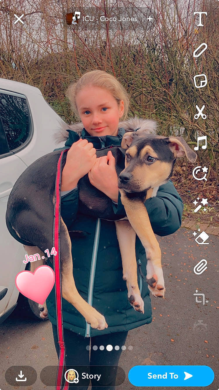 Bailee is registered to the contest to win money with this photo: baby_carriage, car, companion_dog, dog, electric_blue, family_car, fawn, fun, hairstyle, happy, leisure, mammal, motor_vehicle, pink, recreation, sitting, smile, toddler, vehicle_door, vertebrate