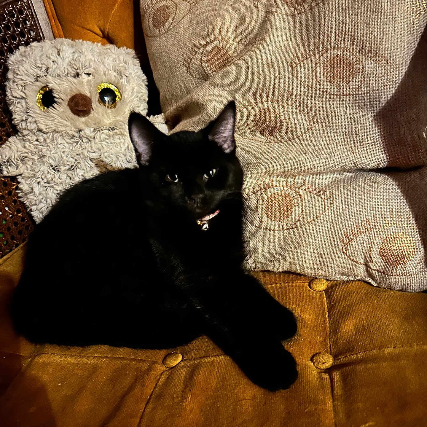 Onyx