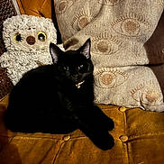 Stevie is registered to the contest to win money with this photo: black_cat, cat, plush_toy, owl_plush, cushion, decorative_pillow, sofa, vintage_sofa, mustard_yellow, indoor, pet, feline, cozy, relaxed, patterned_pillow, animal, domestic_cat, furniture, cute, home_decor