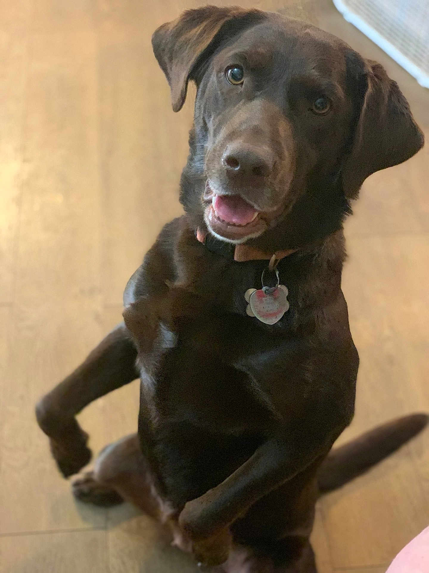 Roxy