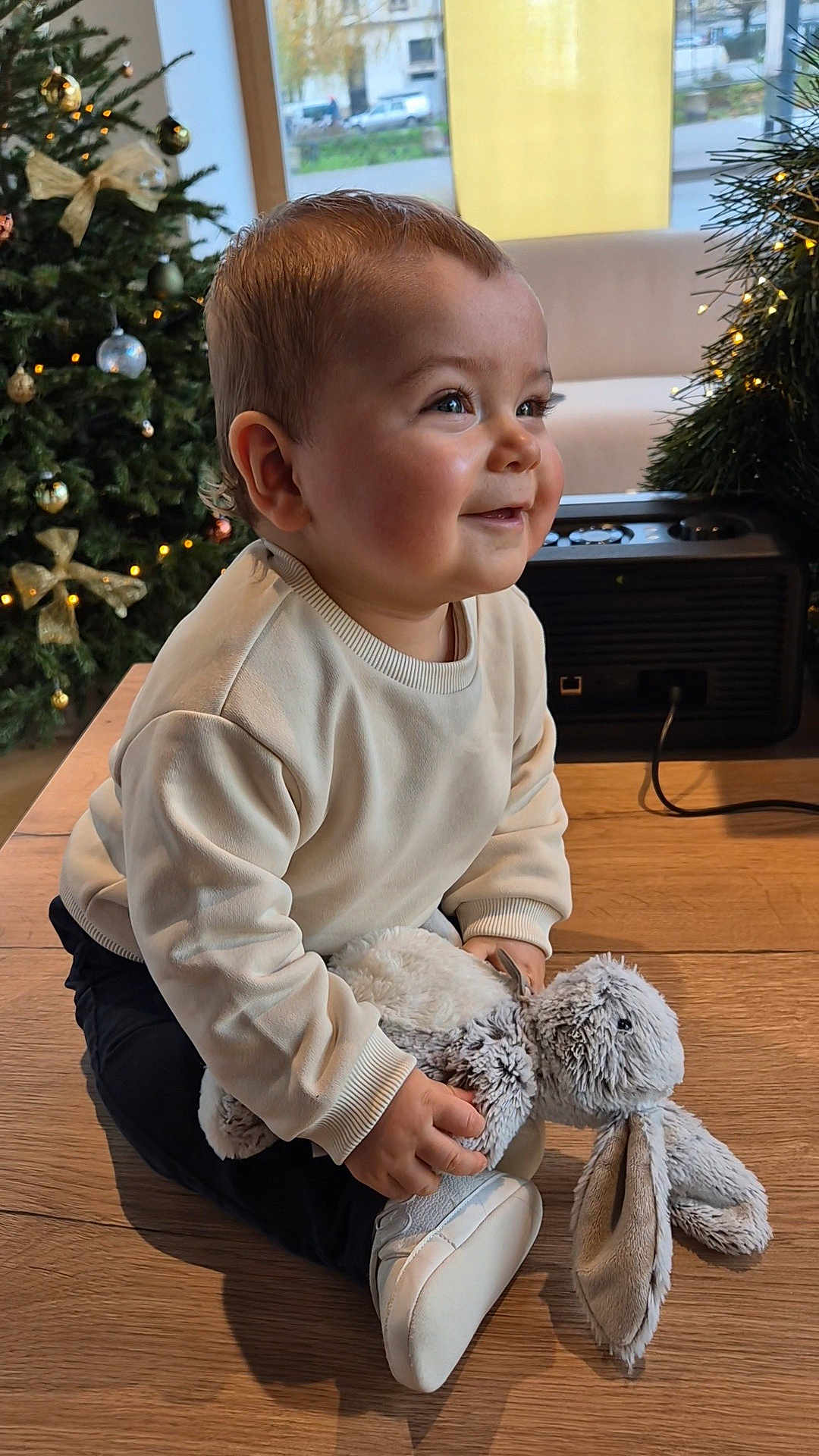 Mathéo participe au concours pour gagner de l'argent avec cette photo : toddler, child, baby, stuffed_animal, toy, bunny, christmas_tree, holiday, indoor, smiling, happy, wooden_floor, sweater, shoe, cute, face, person, decorations, seasonal, festive