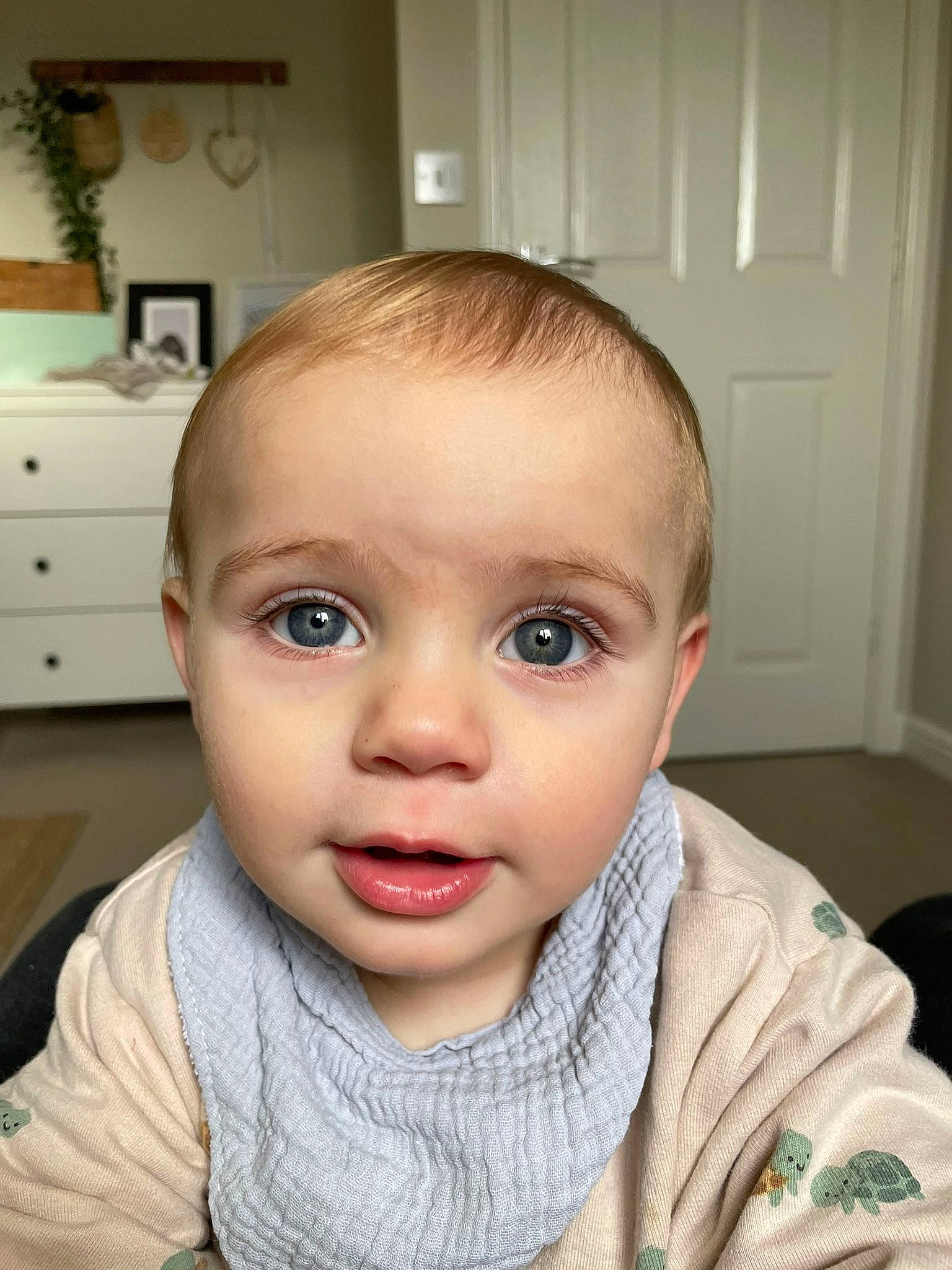 Chester joined the competition — help win amazing prizes! cabinetry, cheek, door, drawer, eye, eyebrow, eyelash, face, forehead, iris, jaw, lip, mouth, neck, no_expression, nose, person, skin, sleeve, smile