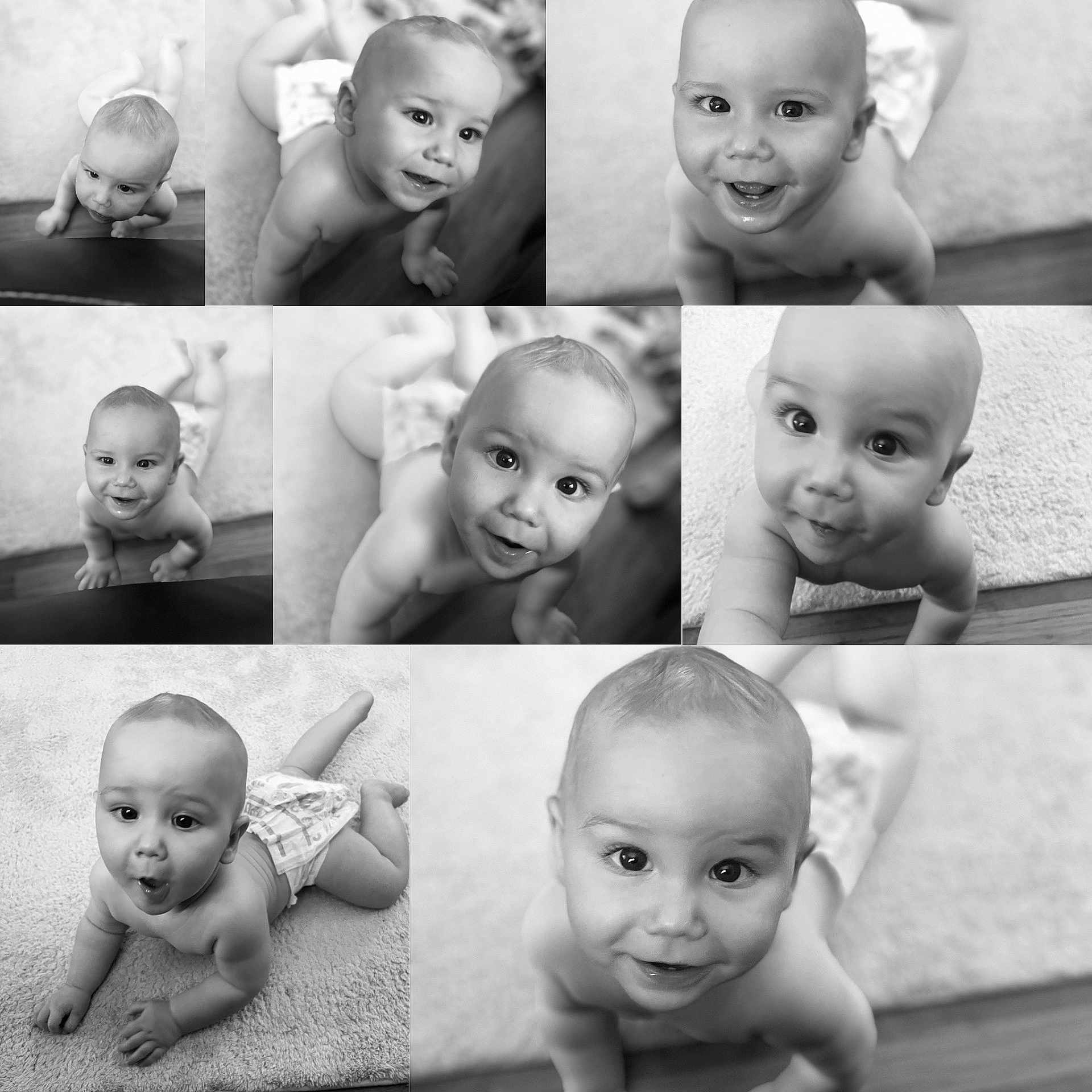 William is registered to the contest to win money with this photo: baby, black_and_white, carpet, child, closeup, collage, crawling, curious, cute, diaper, expression, face, floor, head, indoors, infant, person, portrait, smiling, young