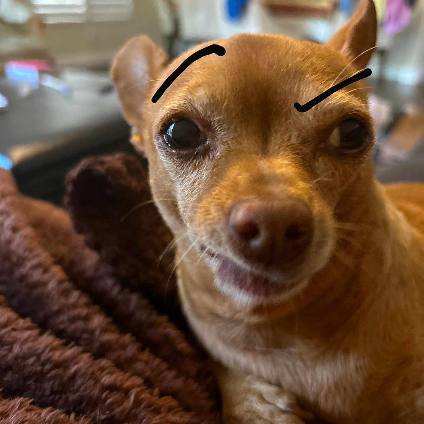 Zoe
