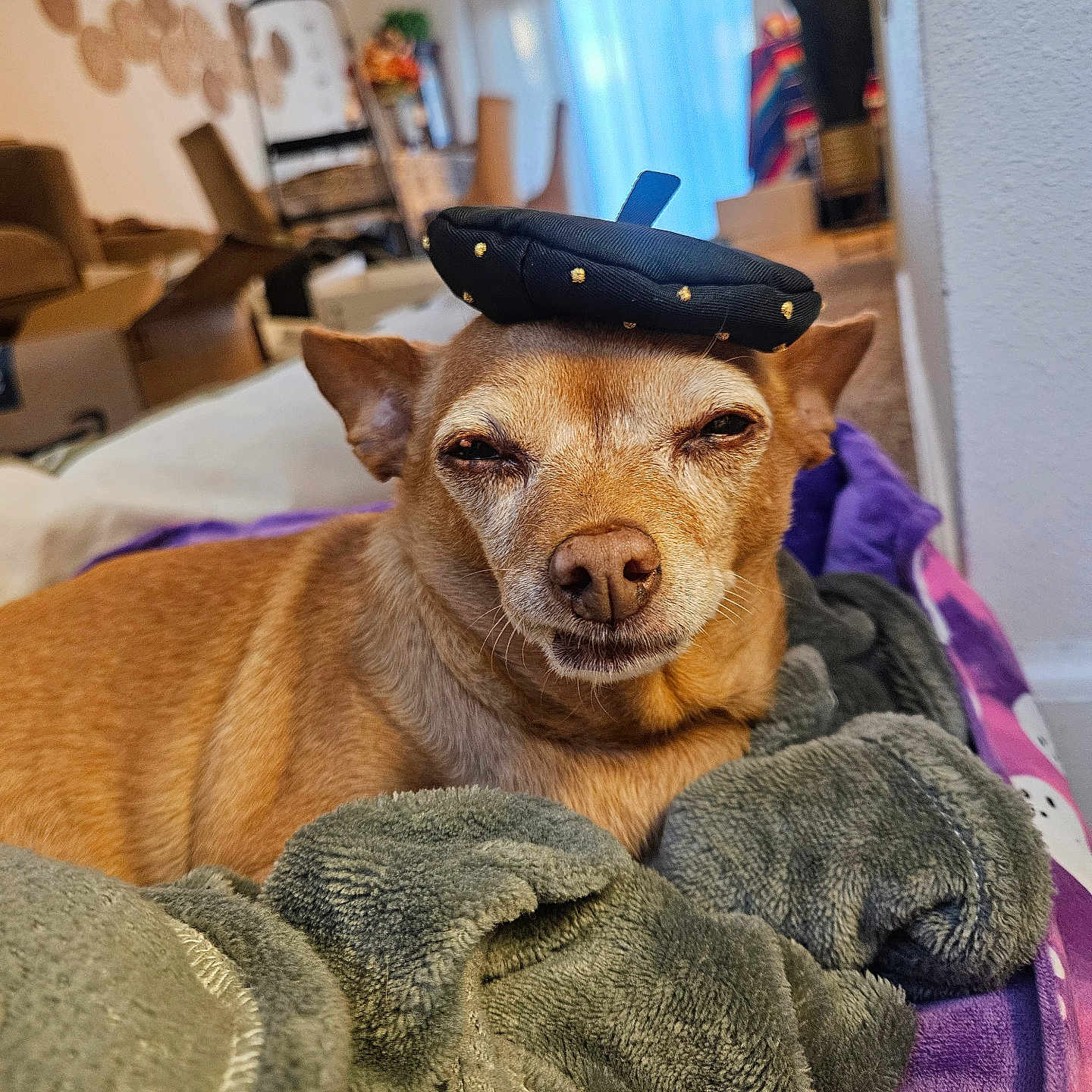 Zoe