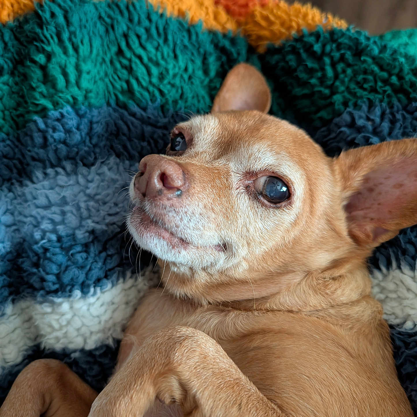 Zoe