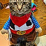 cat, tabby, costume, cowboy, bandana, plush, table, wood, indoor, pet, animal, whiskers, sitting, brown, black, yellow_eyes, feline, clothing, domestic, cute