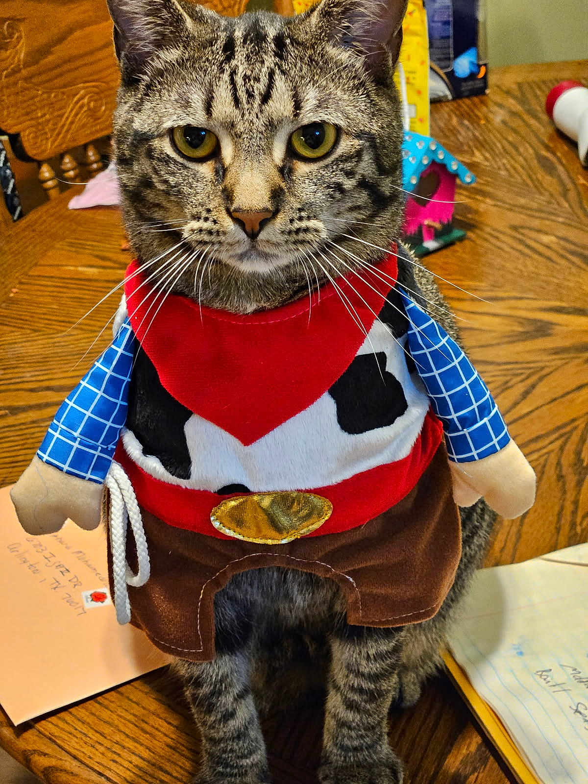Milo joined the competition — help win amazing prizes! cat, tabby, costume, cowboy, bandana, plush, table, wood, indoor, pet, animal, whiskers, sitting, brown, black, yellow_eyes, feline, clothing, domestic, cute