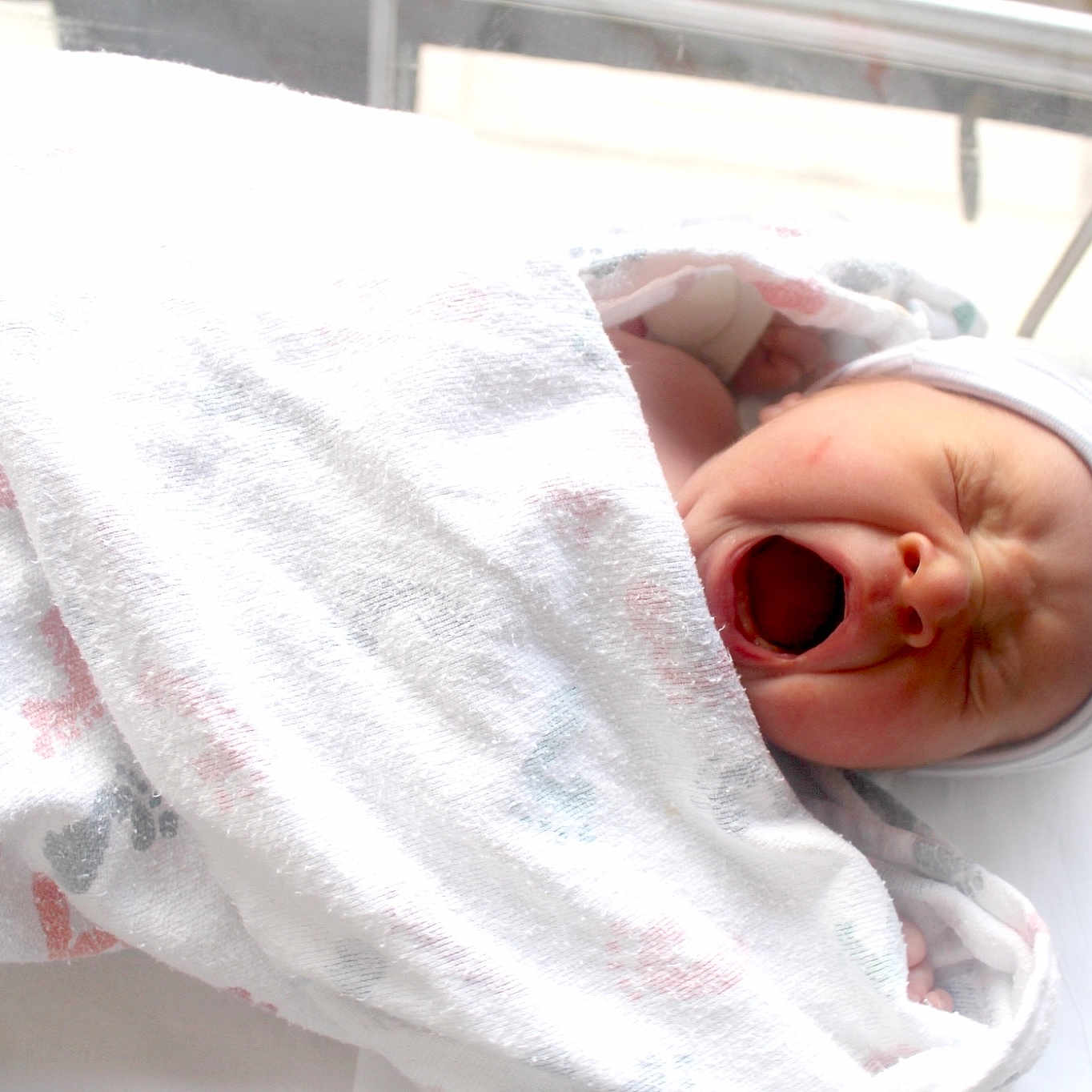 Jaxon joined the competition — help win amazing prizes! baby, child, skin, toddler