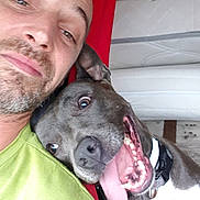 Nina a rejoint le concours — aidez-le/la à gagner de superbes lots ! dog, pit_bull, pet, animal, human, man, beard, selfie, close_up, portrait, smiling, teeth, open_mouth, wide_eyes, gray_fur, collar, cuddling, indoors, couch, funny